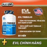  EVL TRIBULUS 60 VIÊN 