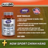  NOW TRIBULUS 180 VIÊN 