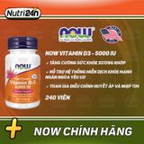  Now Vitamin D3 5000 IU 240 viên 