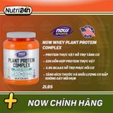  NOW WHEY PLANT PROTEIN COMPLEX 2LBS 