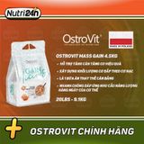  OSTROVIT MASS GAIN 4.5KG 