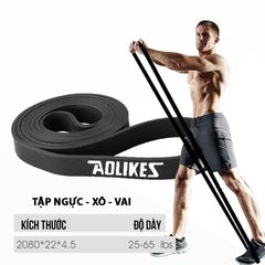 Dây kháng lực tập gym Power Band Aolikes ĐEN (65lbs)