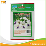  Cà pháo trắng 
