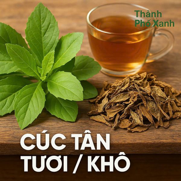  Cúc Tần Tươi & Khô – Hàng Tự Nhiên Sạch –  Shop trực tiếp Thu Hái Thủ Công 