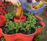  Tháp Trồng Rau Hữu Cơ Thông Minh Eco VN – Mô Hình Trồng Rau Sạch Cho Nhà Phố 