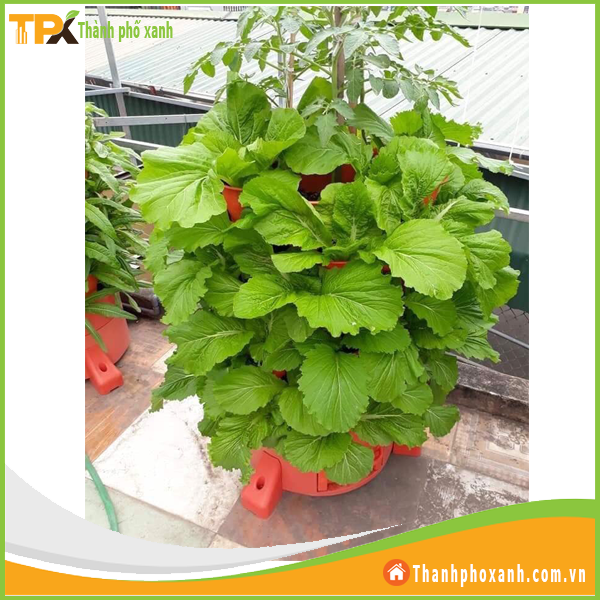  Tháp trồng rau hữu cơ thông minh 