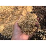  Bán giá thể  trấu sống để trộn đất trồng cây 