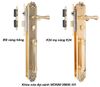 Khóa cửa đại sảnh VICKINI 38605.101 EG vàng hồng