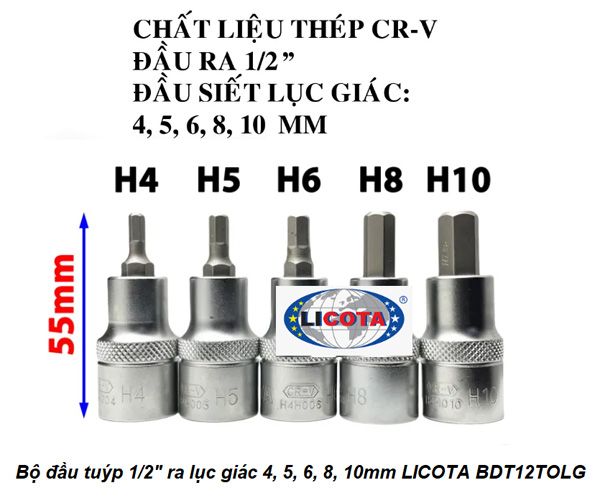  Bộ đầu tuýp 1/2 inch ra đầu lục giác 4, 5, 6, 8, 10mm LICOTA BDT12TOLG 