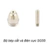 Bộ bép cắt và điện cực SG55 DAQIN BD60
