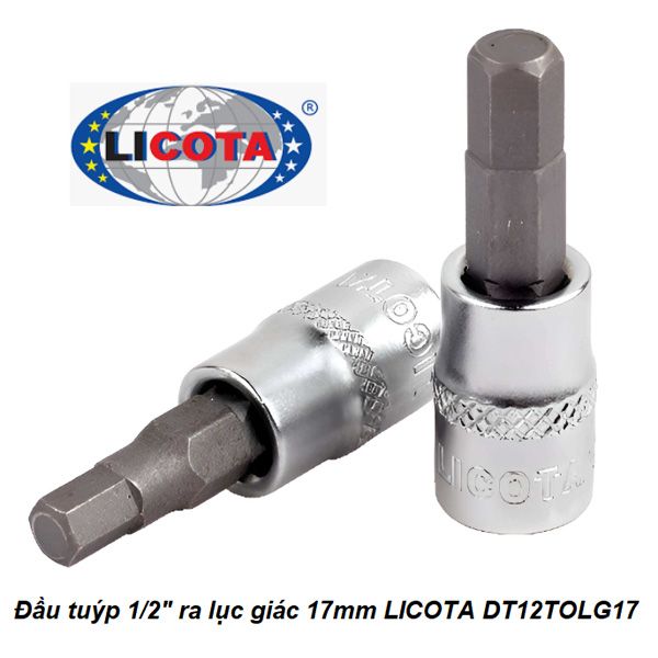  Đầu tuýp 1/2 inch ra đầu lục giác 17mm LICOTA DT12TOLG17 