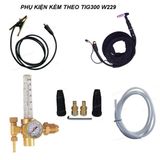  Máy hàn TIG Jasic TIG300 W229 
