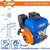 Động cơ nổ chạy xăng 7.0HP WADFOW WGNAA1706Q