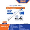 Cần chỉnh lực 100-600Nm đầu 3/4 inch WADFOW WWQ3D34