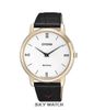 ĐỒNG HỒ CITIZEN AR1133-23A