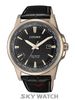 ĐỒNG HỒ CITIZEN BX1008-12E
