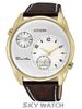 ĐỒNG HỒ CITIZEN AO3032-02A