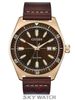 ĐỒNG HỒ CITIZEN AW1593-06X