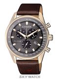  ĐỒNG HỒ CITIZEN AT2393-17H 