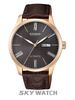 ĐỒNG HỒ CITIZEN NH8353-00H