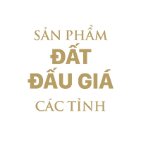 DỰ ÁN ĐẤT ĐẤU GIÁ CÁC TỈNH