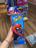 Hộp Bút Nam Châm 2 Ngăn Có Gọt Chì Disney