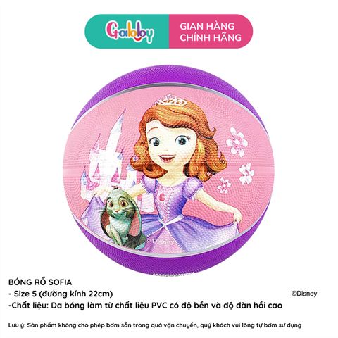 Bóng rổ trẻ em 20148