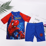 Bộ đồ Bơi rời Tay ngắn F0210B