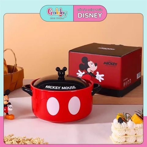 TÔ ÚP MÌ SỨ DISNEY