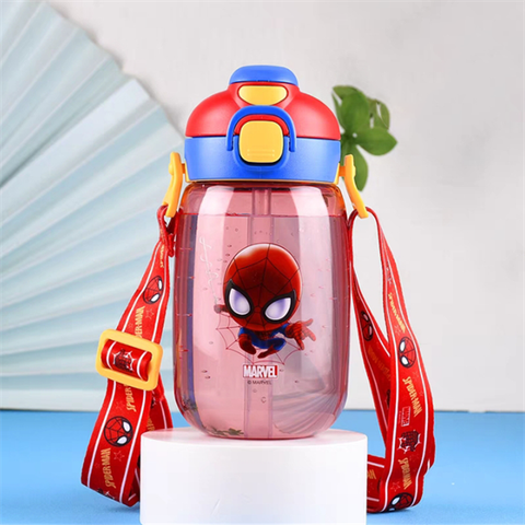 Bình nước 560ML