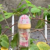 Bình PIGEON NĐ Nhật PPSU 160ML NÚM SS