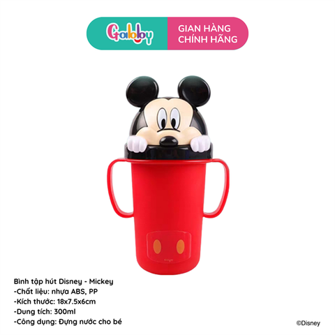 Bình Tập Uống PP DISNEY 300ML