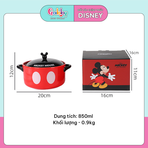 TÔ ÚP MÌ SỨ DISNEY