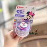 Ti giả Pigeon nội địa Nhật