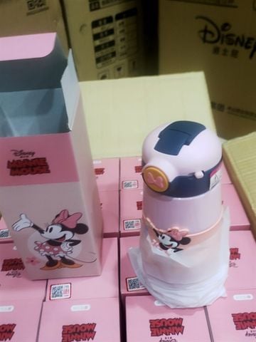Bình Giữ Nhiệt 3D Disney