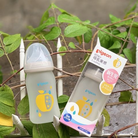 Bình PIGEON NĐ Nhật THỦY TINH PHỦ SILICON