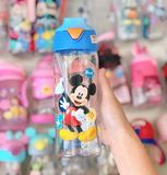 Bình nước Disney nắp tam giác 500ML