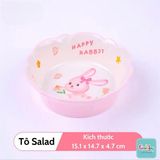 Tô Salad Melamin