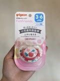 Ti giả Pigeon nội địa Nhật