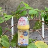 Bình PIGEON NĐ Nhật PPSU 160ML NÚM SS