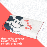 Gối Trẻ Sơ Sinh Disney