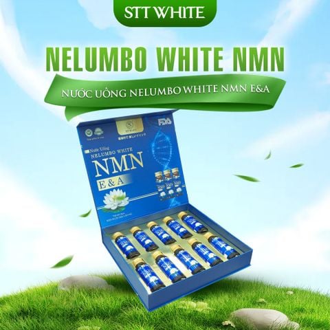 Sản phẩm nổi bật