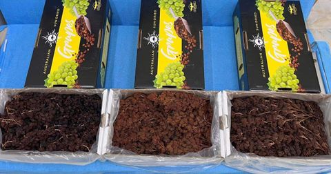 Thực Phẩm Tươi Sống