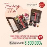  ĐÔNG TRÙNG HẠ THẢO THỂ NHỘNG 10gr 