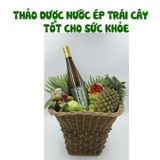  Nước Ép Trái Cây Cao Cấp Thunya Herb 