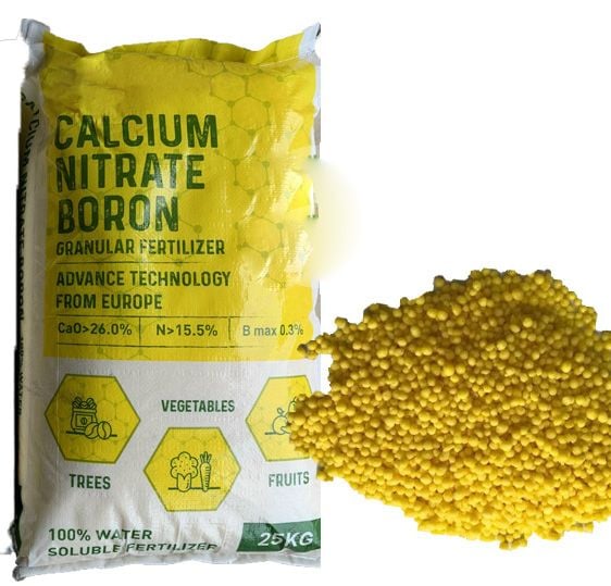 Canxi Bo - Zumo7.com