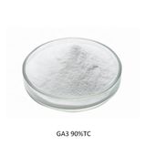 GA3 90%_ Gibberilic acid 90 TC_Siêu kích thích sinh trưởng