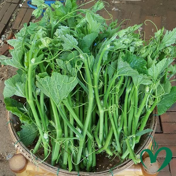 Rau bí – Lins Food Mart