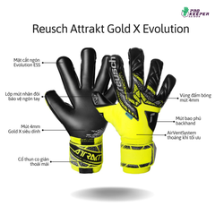 Găng Tay Thủ Môn Reusch Attrakt Freegel Gold X Evolution 5570964-2025