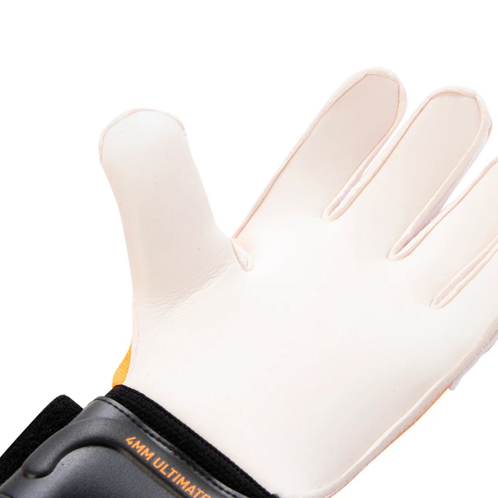 Găng Tay Thủ Môn Puma Ultra Pro RC 041859-09